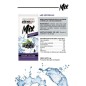 Boîte de 12 sachets de cassis aromatisés aux groseilles, sans sucre