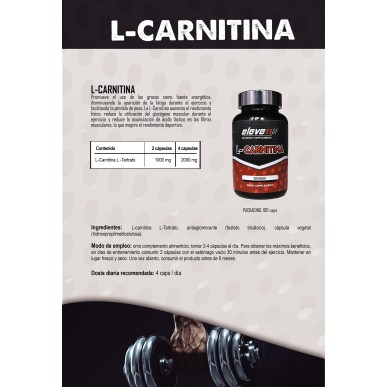 ▷ L-Carnitin 100 Kapseln - Elevenfit