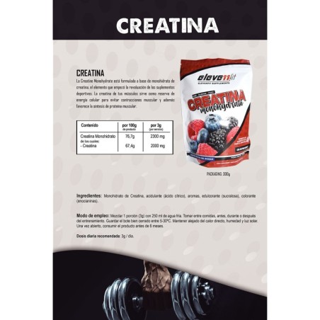 Créatine monohydrate saveur fruits des bois 300 g