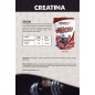 Creatine Monohydrate Forest Fruit Flavor 300g