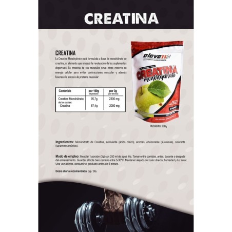 CRÉATINE MONOHYDRATÉ ARÔME POMME 300 g