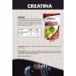 CRÉATINE MONOHYDRATÉ ARÔME POMME 300 g