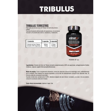 TRIBULUS TERRESTRIS 100 Kapseln