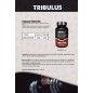 TRIBULUS TERRESTRIS 100 CAPSULE